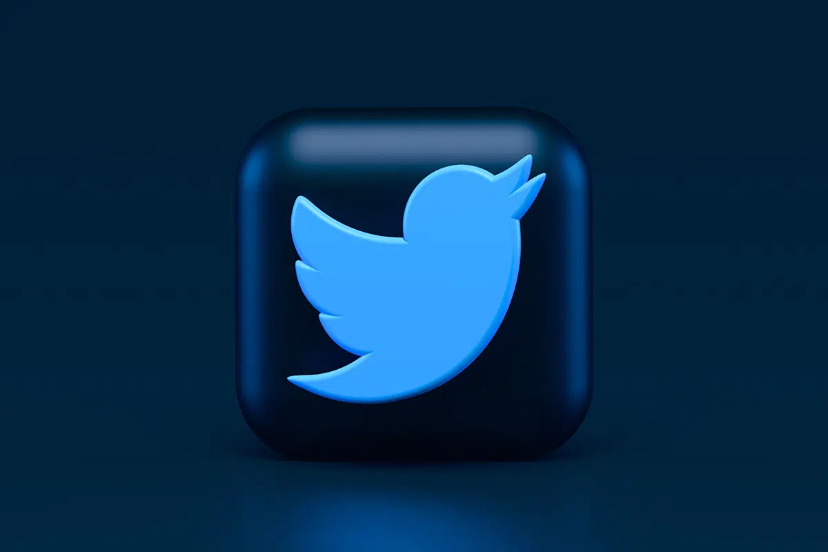 Bug Twitter