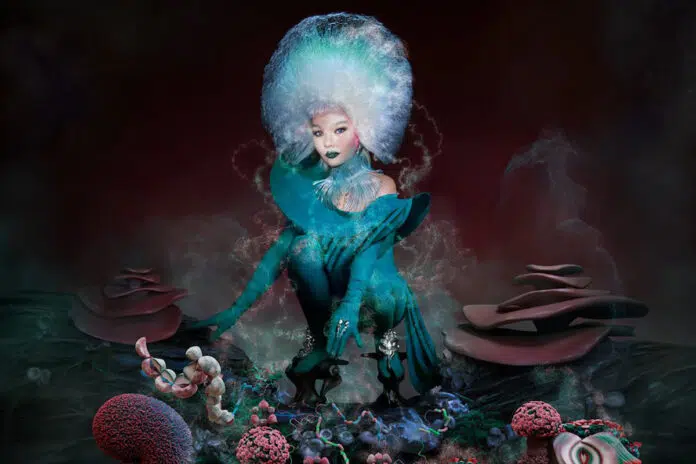 pochette de l'album Fossora de Björk