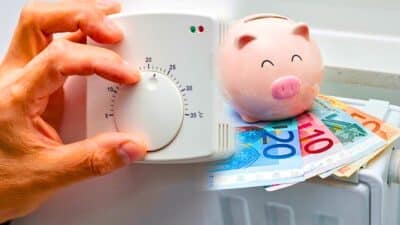cochon chauffage billets economies temperature ideale