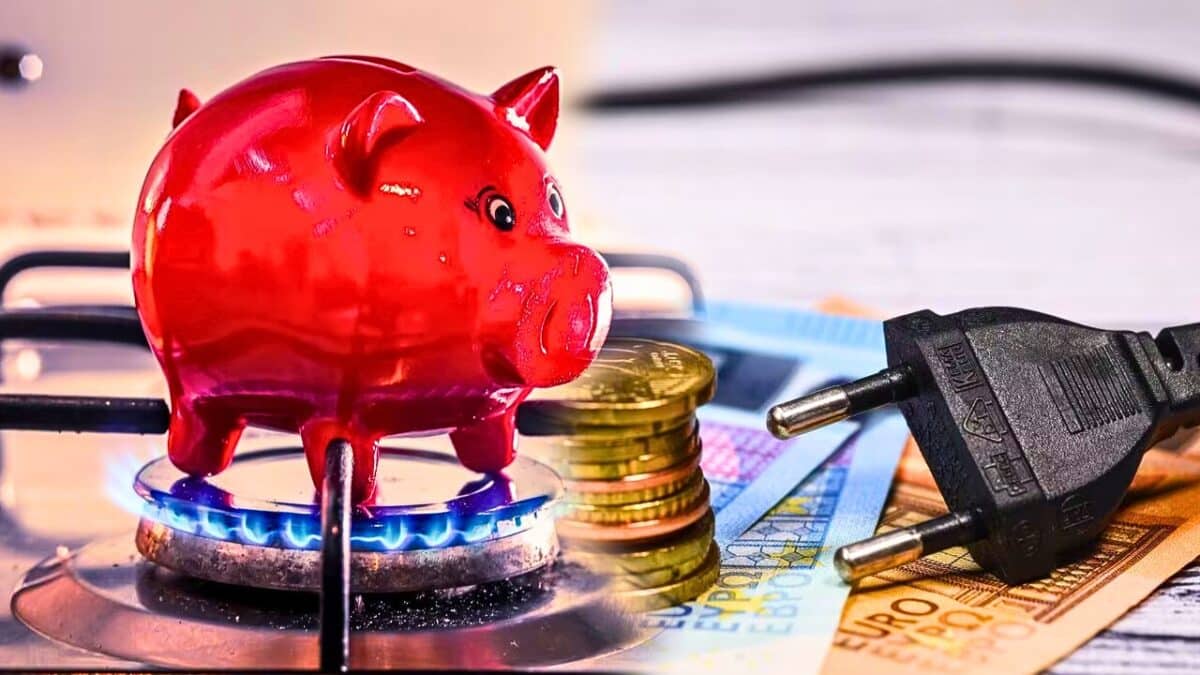 cochon argent electricite et gaz