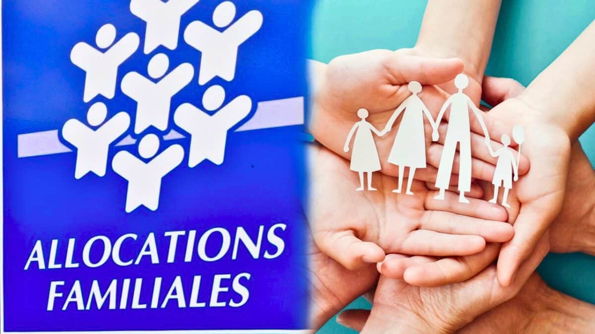 allocations familiales caf familles