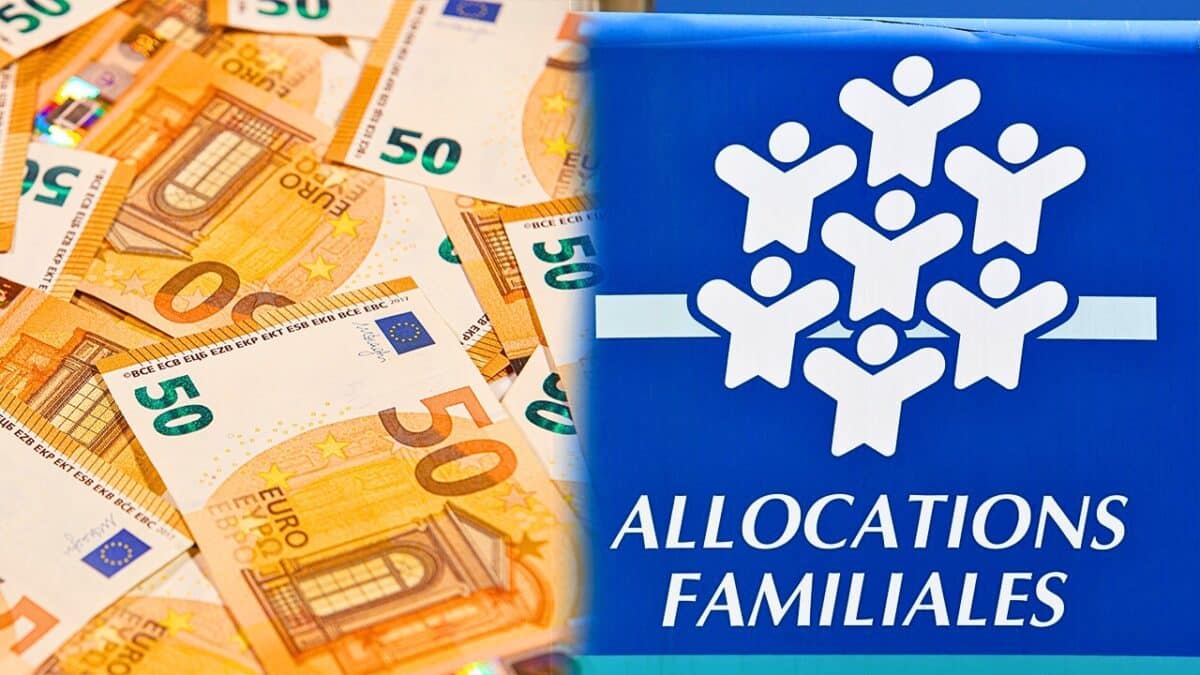 caf allocations familiales 50 euros