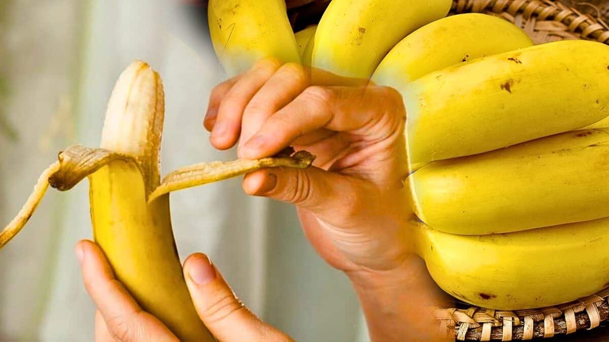 consommer banane par jour