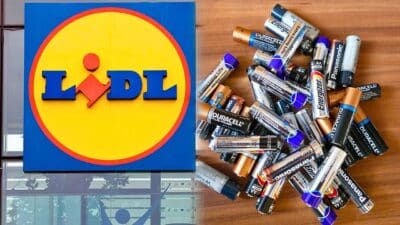 lidl piles revendre