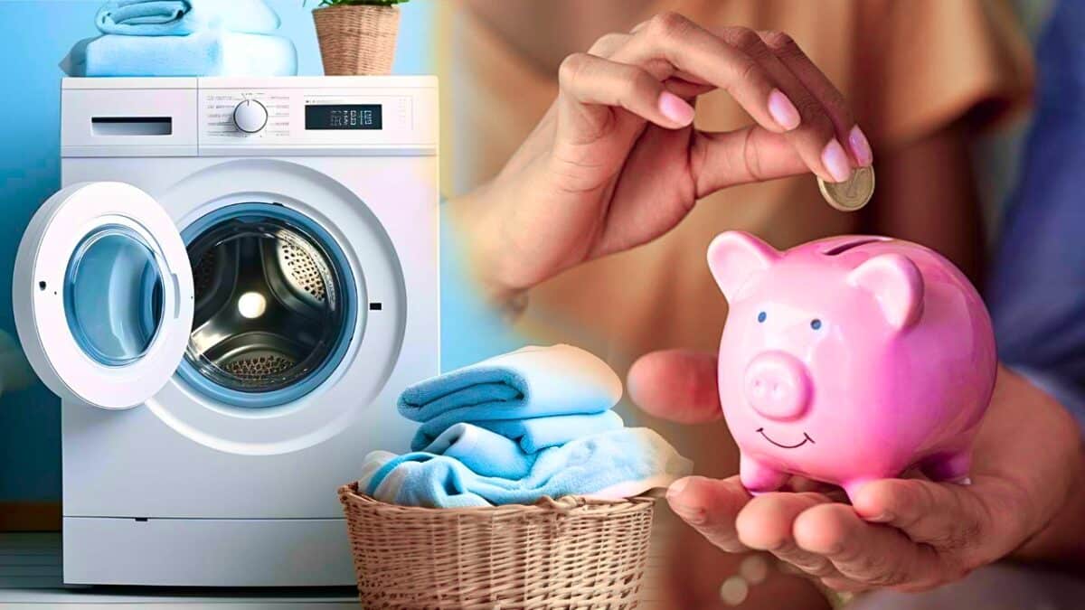 machine a laver faire des economies cochon