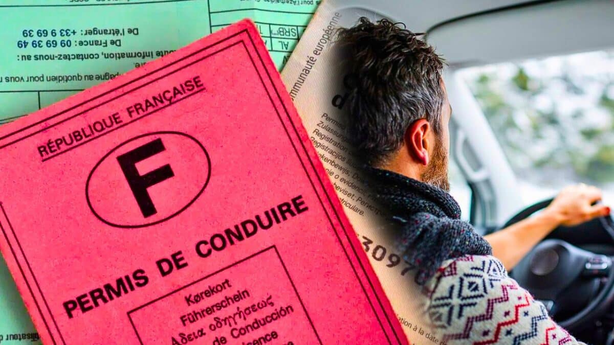 permis de conduire rose voiture