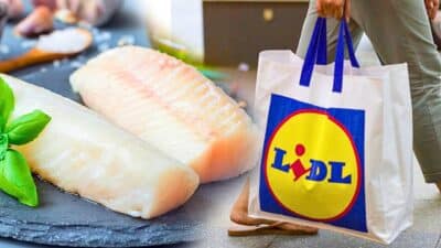 poisson chez lidl sachet