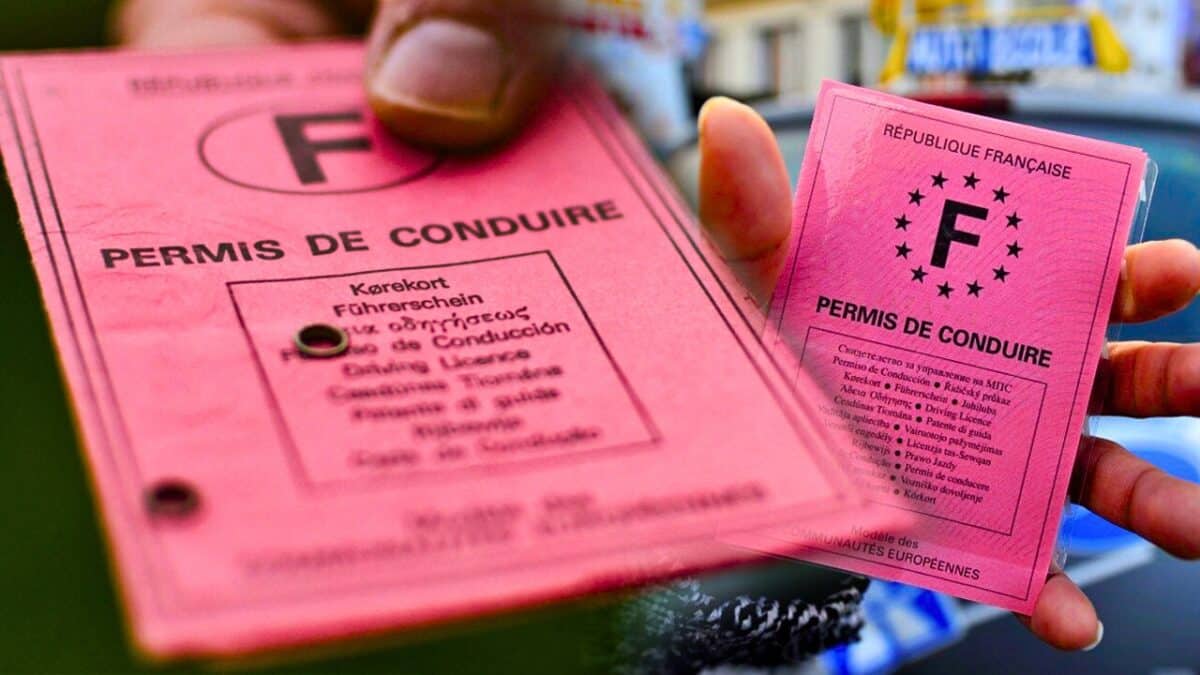 permis de conduire rose remplacer