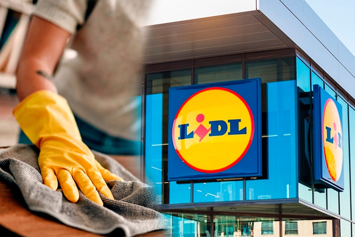 lidl enseigne nettoyage