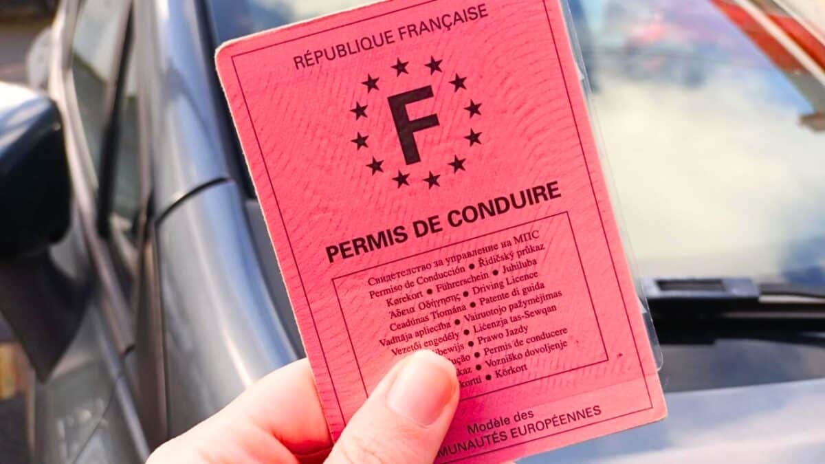 permis de conduire rose