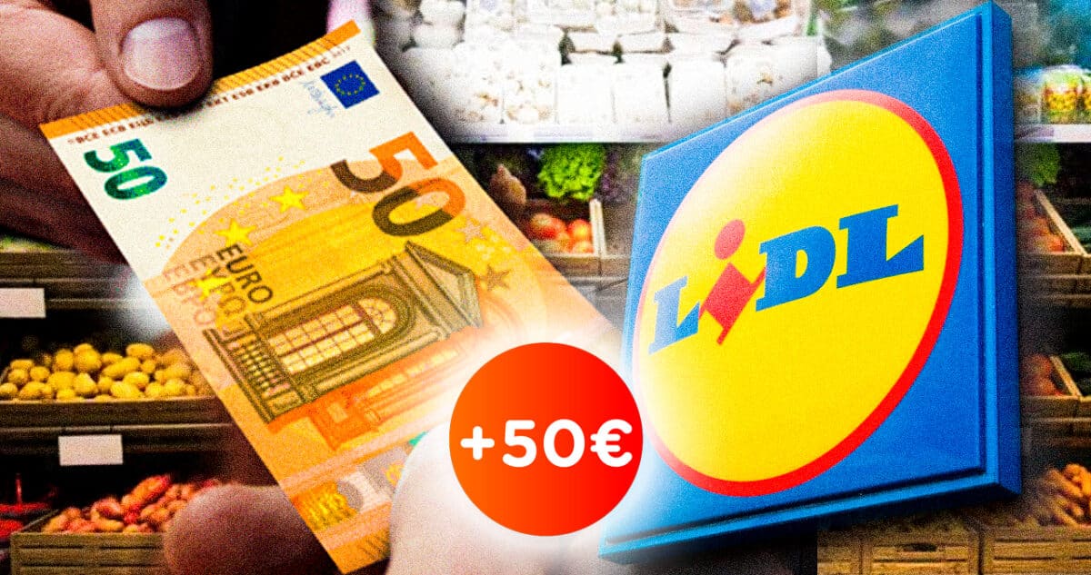 reduction 50 lidl