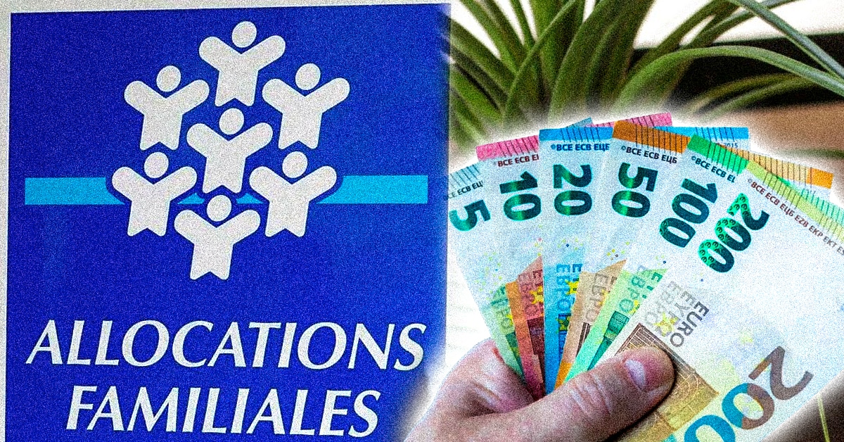allocations familiale caf