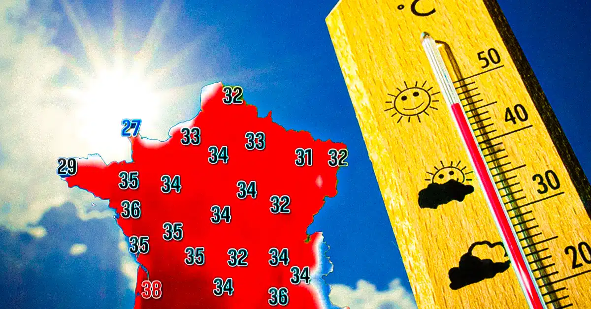 canicule zone jaune