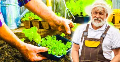 jardinage technique